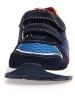 Naturino Sneakersy "Argal" ze wzorem