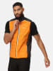 Regatta Funktionsweste "Halton VII Baffle" in Orange