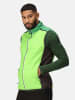 Regatta Functionele bodywarmer "Halton VII Baffle" groen