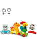 LEGO LEGO® DUPLO®: Animal train - 18 m+