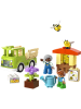 LEGO Zestaw LEGO® DUPLO® 10419 Beekeeping and beehives - 2+