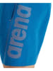 Arena Badeshorts "Arena Logo" in Blau