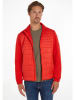 Tommy Hilfiger Tussenjas rood