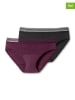 Schiesser 2er-Set: Slips in Pflaume/ Schwarz