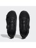 adidas Hardloopschoenen "Terrex Agravic Boa" zwart