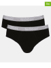 Sloggi 2er-Set: Slips in Schwarz