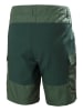 Helly Hansen Cargoshort "Vandre" groen