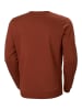 Helly Hansen Sweatshirt "F2F" lichtbruin