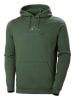 Helly Hansen Hoodie "F2F" groen