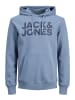 Jack & Jones Hoodie lichtblauw