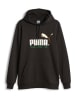 Puma Hoosie "No. 1 Logo Celebration" in Schwarz