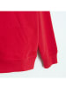 COOL CLUB Bluza w kolorze czerwonym
