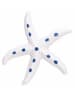 Villa d´Este Dekoracje (3 szt.) "Sea Star" w kolorze niebiesko-biało-turkusowym - 10 x 10 cm