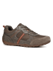Geox Sneakers "Ravex" bruin