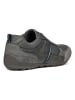 Geox Slipper "Ravex" in Grau