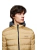 Polo Club Funktionsjacke in Camel