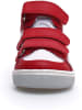 Naturino Leren sneakers "Finnix" wit/rood