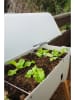 Gusta Garden Kweekbak "Sammy Salad" met kap groen - (B)79 x (H)115 x (D)37,5 cm