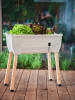 Gusta Garden Kweekbak "Sammy Salad" wit - (B)79 x (H)95 x (D)37,5 cm