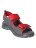 Ricosta Sandalen "Tame" grijs/rood