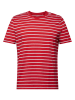 ESPRIT Shirt in Rot/ Weiß