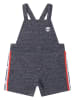 Timberland Tuinshort grijs