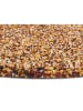 Hanse Home Hoogpolig tapijt "Shag" mosterdgeel/lichtbruin
