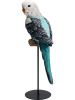 Kare Dekoracyjna figurka "Parrot" w kolorze turkusowym - wys. 36 cm