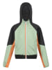 Regatta Fleece vest "Prenton II" groen