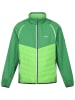 Regatta 2in1-Hybridjacke "Steren" in Grün