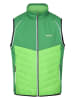 Regatta 2in1-Hybridjacke "Steren" in Grün