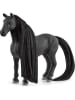 Schleich 14-delige speelfigurenset "Beauty Horse Criollo Defi" - vanaf 4 jaar