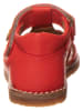 El Naturalista Leren sandalen rood