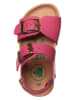 El Naturalista Skórzane sandały w kolorze różowym