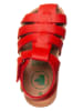 El Naturalista Enkelsandalen rood