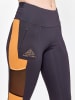 Craft Trailrunningleggings "Pro Trail" in Anthrazit