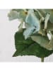 Boltze 2-delige set: decoratieve bloemen "Hortensie" wit/groen - (H)36 cm