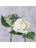 Boltze 2-delige set: decoratieve bloemen "Hortensie" wit/groen - (H)36 cm