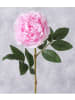 Boltze Decoratieve bloem "Pfingstrose" lichtroze/groen - (H)17 cm
