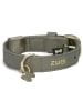 Zwei Halsband kaki - (L)38 cm