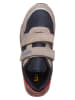 Lurchi Leder-Sneakers "Gianni" in Bunt