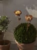 STAR Trading LED-Solar-Dekoration "Oxida" in Gold - (H)51 cm
