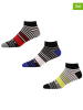 DKNY 3er-Set: Socken in Bunt