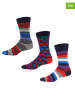 DKNY 3er-Set: Socken in Bunt