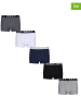 DKNY 5-delige set: boxershorts zwart/grijs/wit
