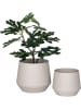 House Nordic 2er-Set: Blumentöpfe in Beige
