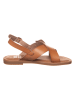 Xti Sandalen in Braun