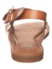 Xti Sandalen in Braun