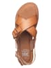 Xti Sandalen in Braun