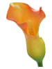InArt Kunstplant groen/oranje - (H)70 cm